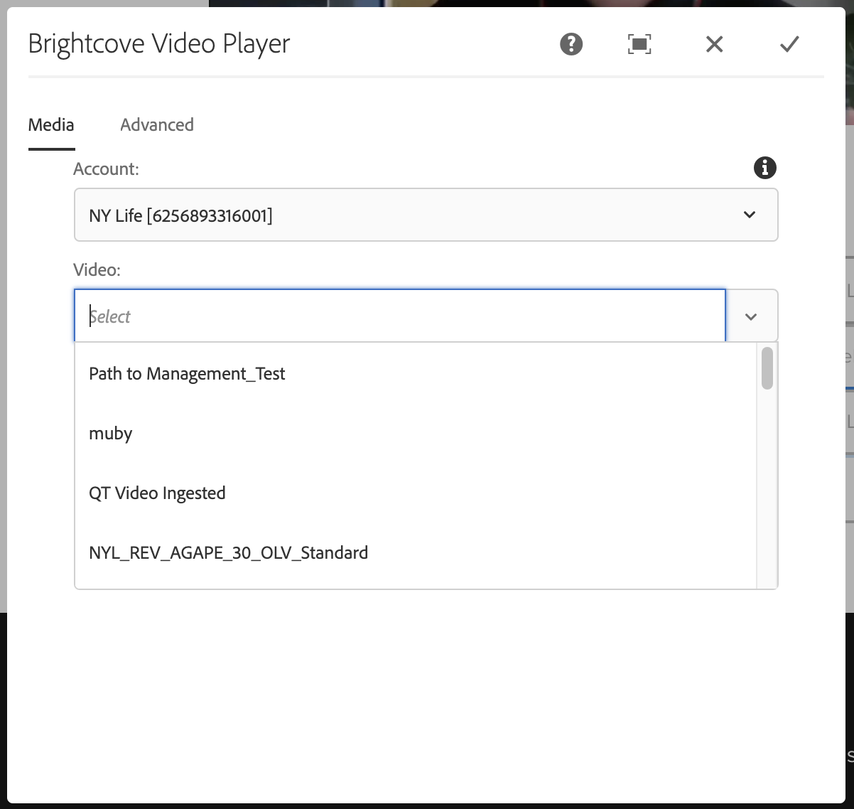 Configure Player Dialog