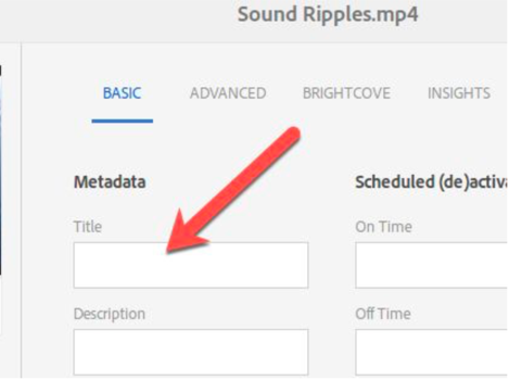 Edit Title - Touch UI