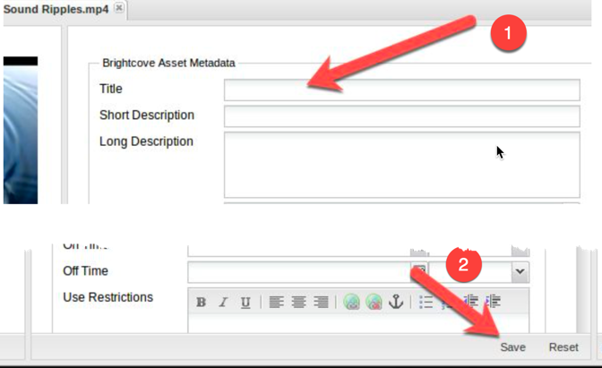 Edit Title in Asset Properties