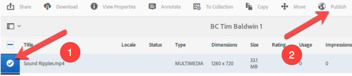 Send Video to Brightcove - Asset List