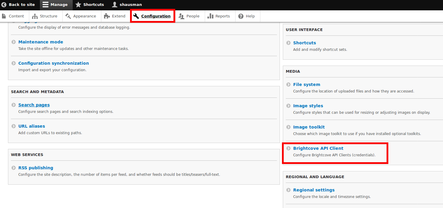 Navigate to API Client page.