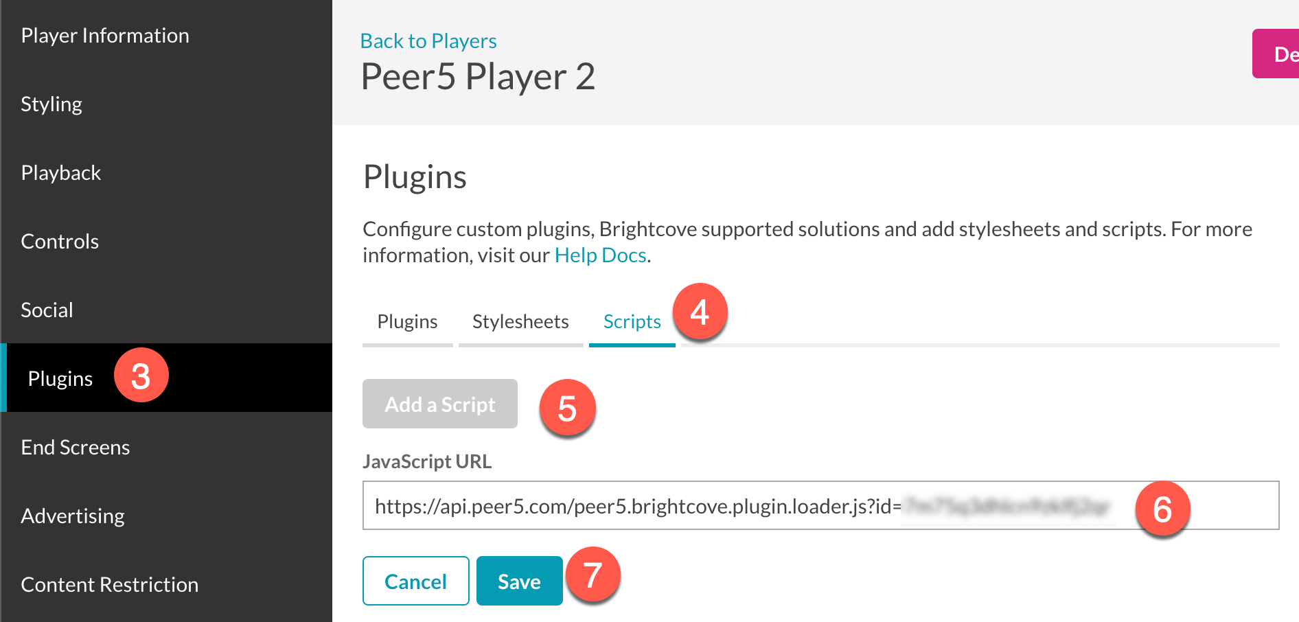 Add Plugin Script