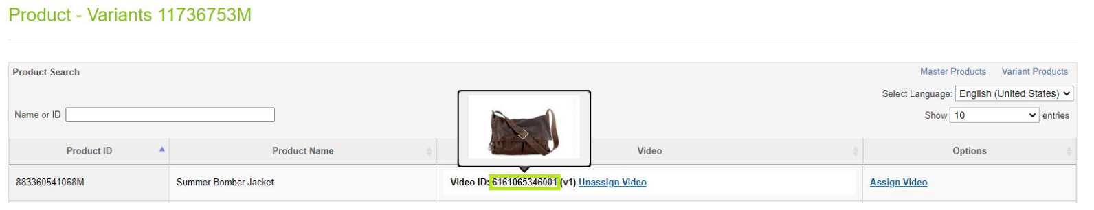 View Video Thumbnail
