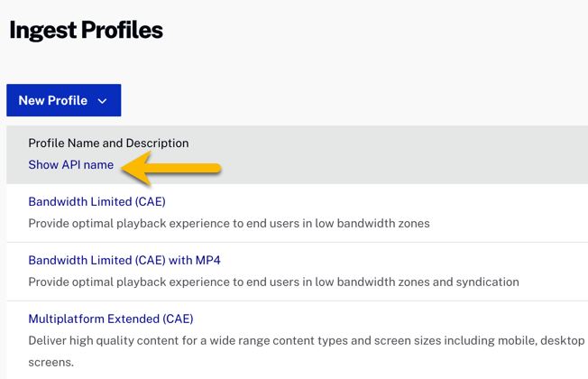 Show profile API name.